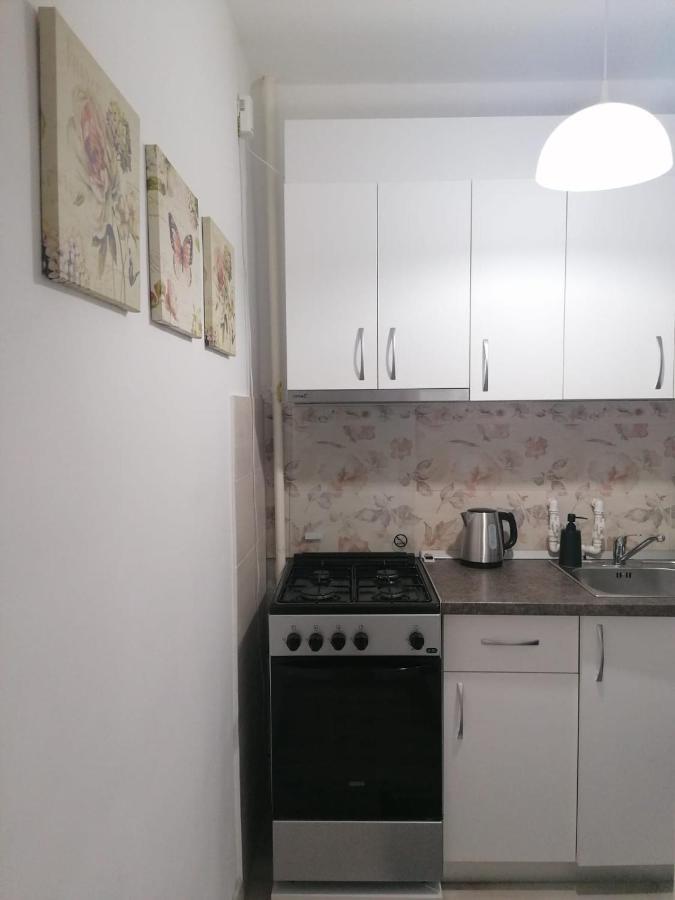Laroka House Cosy And Modern Apartment Universitate-City Centre 부쿠레슈티 외부 사진